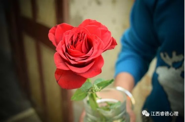 微信截图_20200125114510.jpg