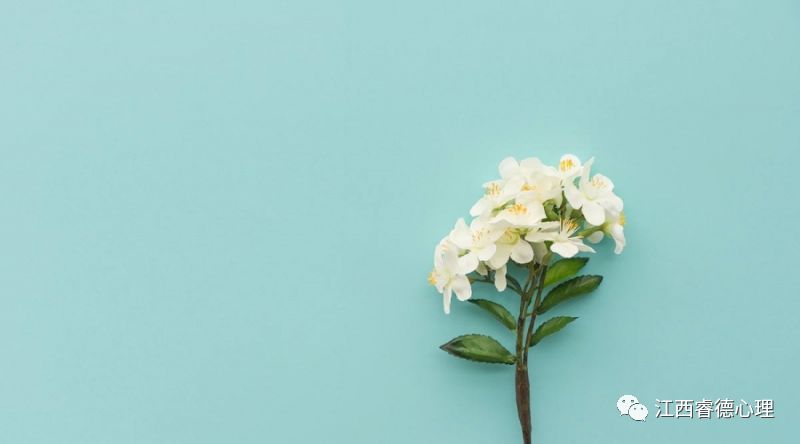 心理咨询（治疗）为何需要预约？