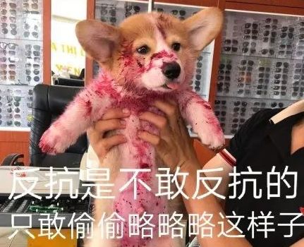 情感淡漠，围观群众为何无动于衷？
