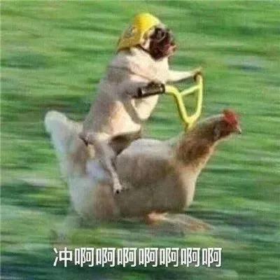 微信图片_20211104090909.jpg